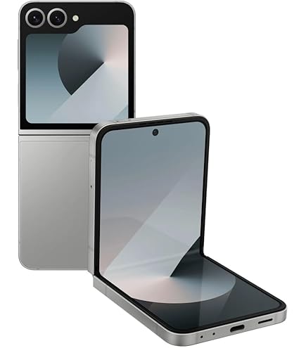 Samsung Galaxy Z Flip6 5G 12 Go/256 Go Noir (Crafted Black